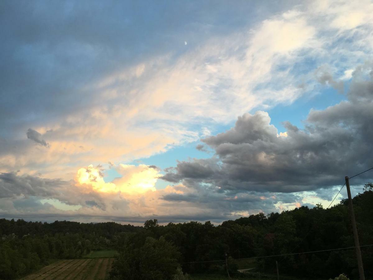 B&B Cascina Dei Levrieri Capriglio Dış mekan fotoğraf