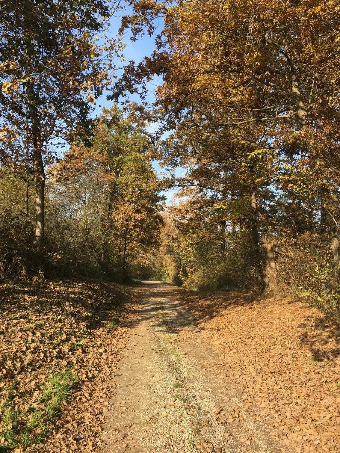 B&B Cascina Dei Levrieri Capriglio Dış mekan fotoğraf